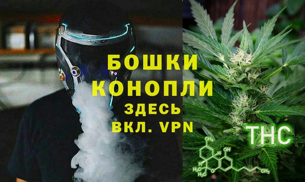 амф Бронницы