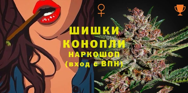 амф Бронницы