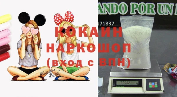 винт Богданович